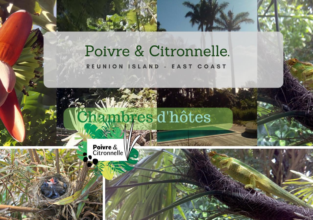 Poivre Et Citronnelle Bed and Breakfast Saint-André Buitenkant foto